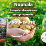 Phileval lance NOPHALA, un nouveau fongicide à large spectre