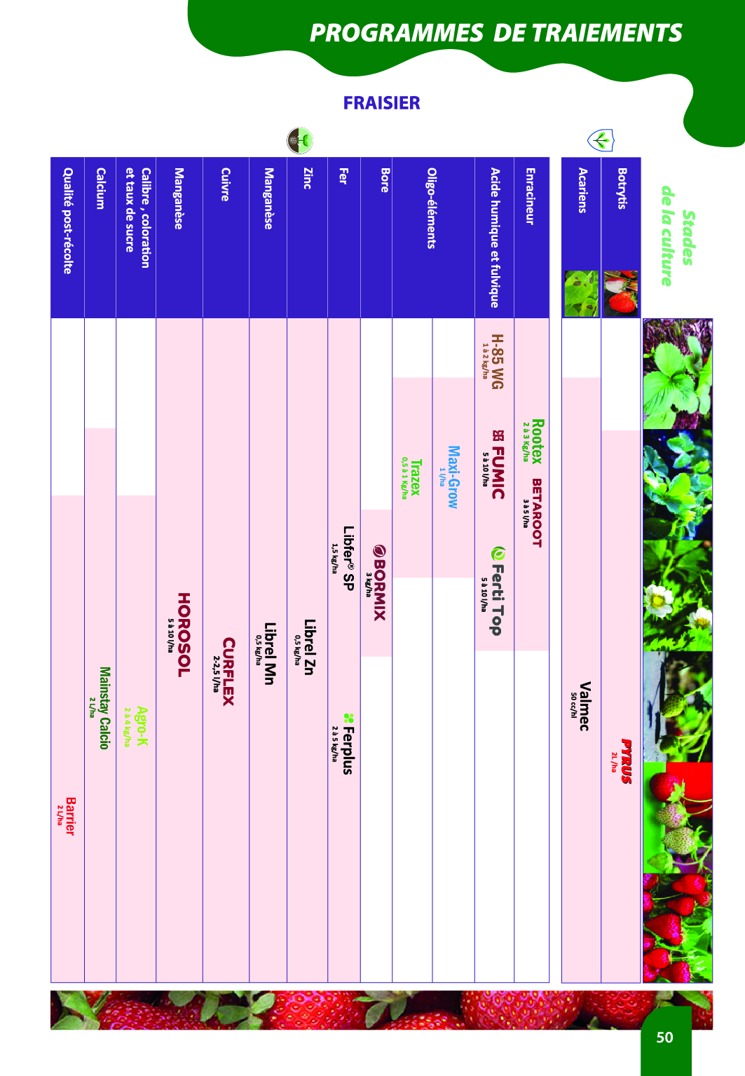 Programme de traitements agrumes