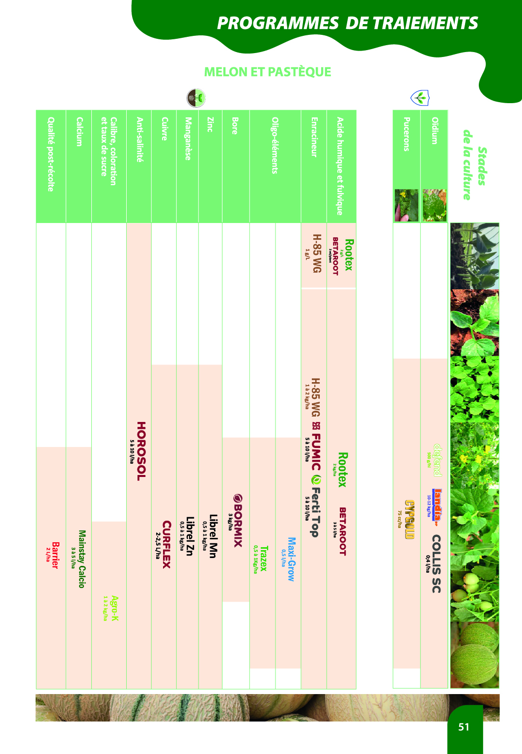 Programme de traitements agrumes