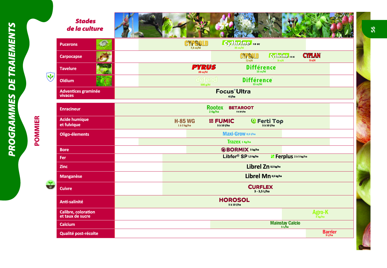 Programme de traitements agrumes